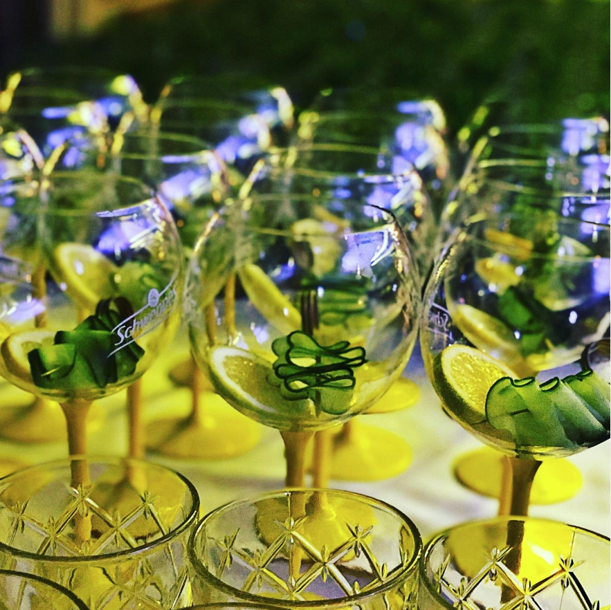 Comme un poisson dans l'eau 12