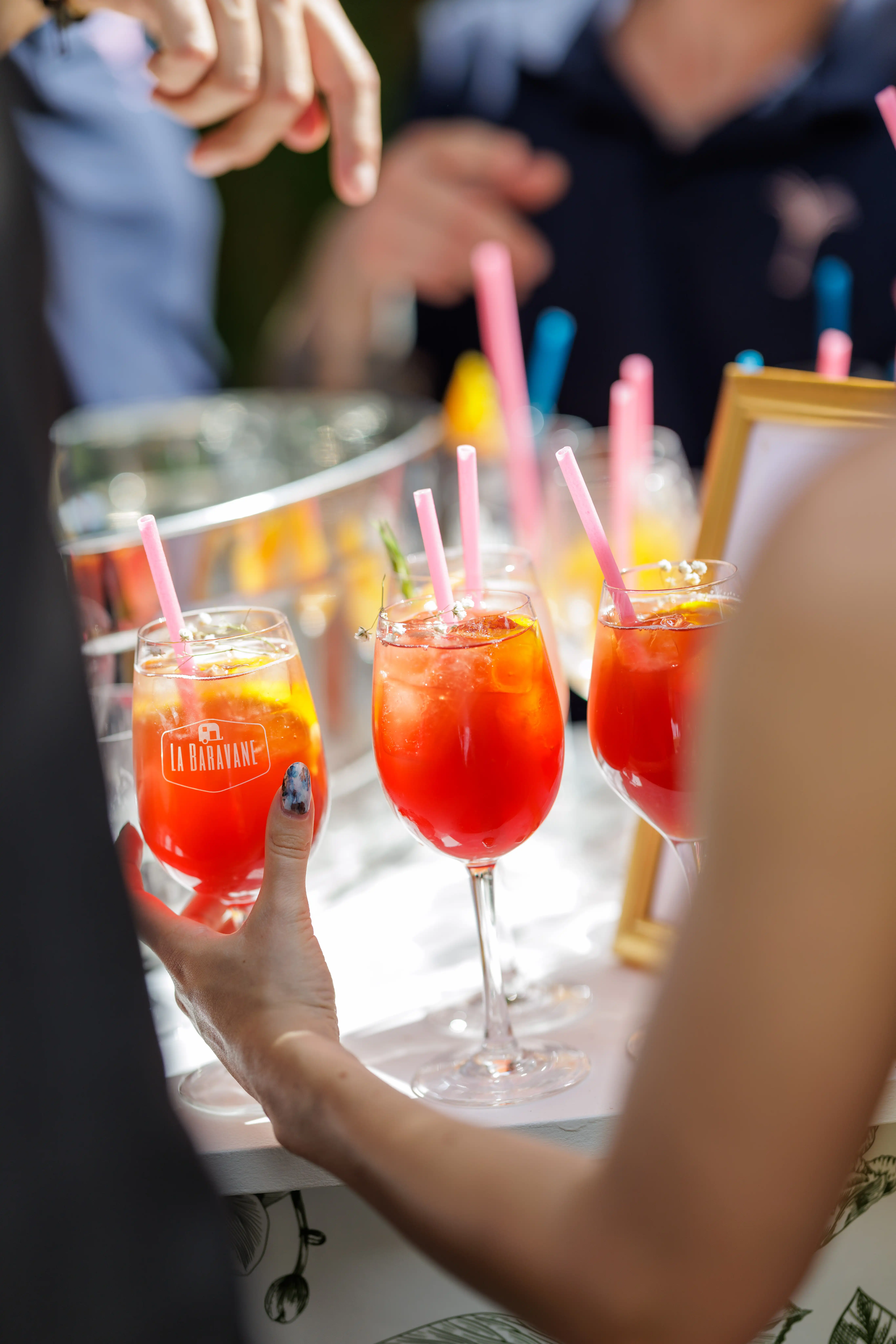 Bonsoir Chez Vous 10